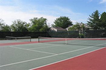 Court